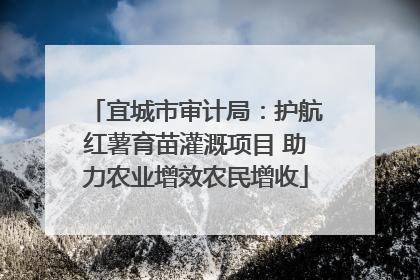 宜城市审计局：护航红薯育苗灌溉项目 助力农业增效农民增收