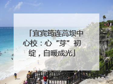 宜宾筠连蒿坝中心校：心“芽”初绽，自暖成光