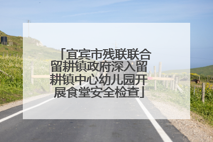 宜宾市残联联合留耕镇政府深入留耕镇中心幼儿园开展食堂安全检查