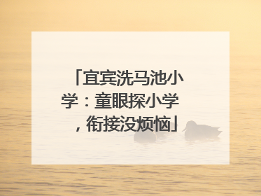 宜宾洗马池小学：童眼探小学，衔接没烦恼