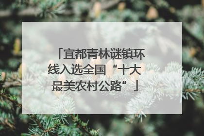 宜都青林谜镇环线入选全国“十大最美农村公路”