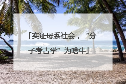 实证母系社会，“分子考古学”为啥牛