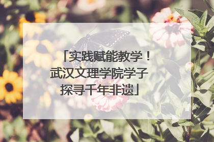 实践赋能教学！武汉文理学院学子探寻千年非遗