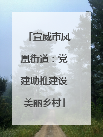 宣威市凤凰街道：党建助推建设美丽乡村