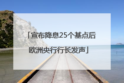 宣布降息25个基点后 欧洲央行行长发声