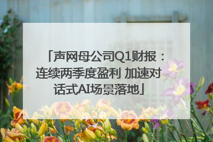 声网母公司Q1财报：连续两季度盈利 加速对话式AI场景落地