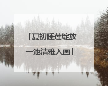 夏初睡莲绽放 一池清雅入画