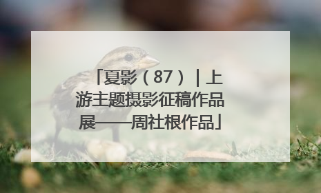 夏影（87）｜上游主题摄影征稿作品展——周社根作品