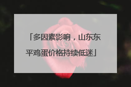 多因素影响，山东东平鸡蛋价格持续低迷