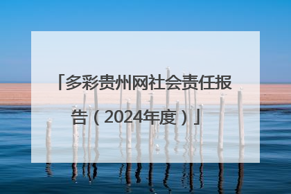 多彩贵州网社会责任报告（2024年度）