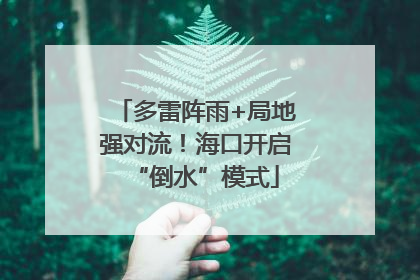 多雷阵雨+局地强对流！海口开启“倒水”模式