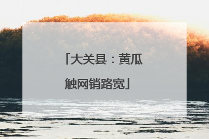 大关县：黄瓜触网销路宽