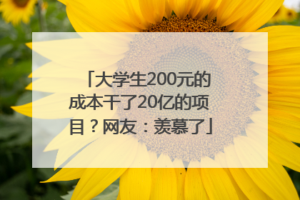 大学生200元的成本干了20亿的项目？网友：羡慕了