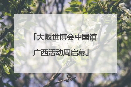 大阪世博会中国馆广西活动周启幕