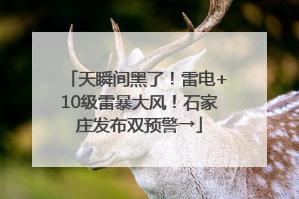 天瞬间黑了！雷电+10级雷暴大风！石家庄发布双预警→