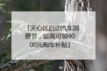 天心区启动汽车消费节，最高可领4000元购车补贴