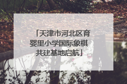 天津市河北区育婴里小学国际象棋共建基地启航