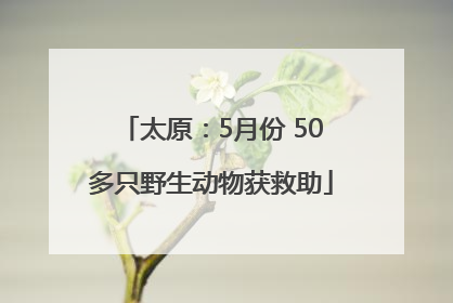 太原：5月份 50多只野生动物获救助