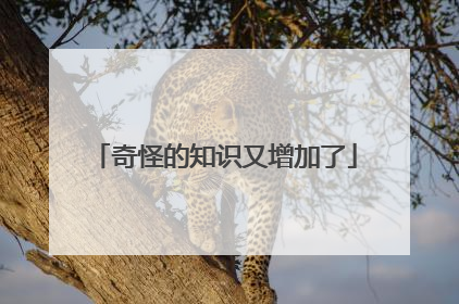 奇怪的知识又增加了