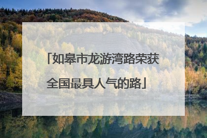 如皋市龙游湾路荣获全国最具人气的路