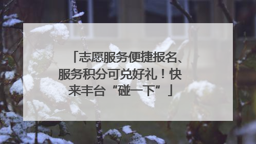 志愿服务便捷报名、服务积分可兑好礼！快来丰台“碰一下”