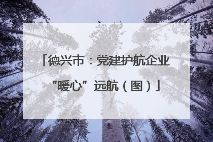德兴市：党建护航企业“暖心”远航（图）