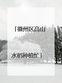 徽州区高山水稻种植忙