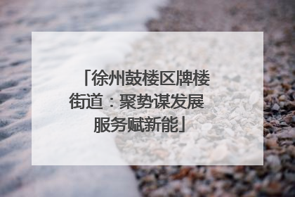 徐州鼓楼区牌楼街道：聚势谋发展 服务赋新能