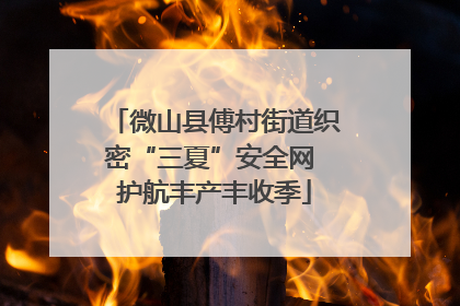 微山县傅村街道织密“三夏”安全网 护航丰产丰收季