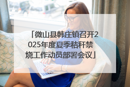 微山县韩庄镇召开2025年度夏季秸秆禁烧工作动员部署会议