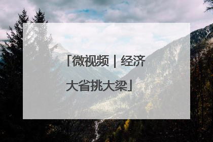微视频｜经济大省挑大梁