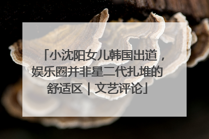 小沈阳女儿韩国出道，娱乐圈并非星二代扎堆的舒适区｜文艺评论