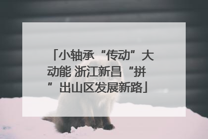 小轴承“传动”大动能 浙江新昌“拼”出山区发展新路