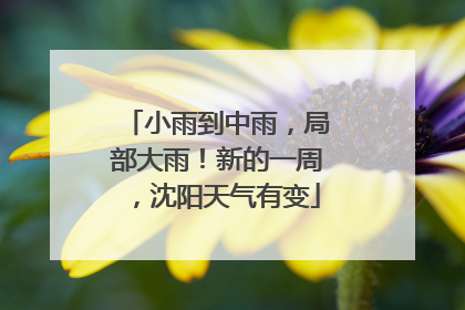 小雨到中雨，局部大雨！新的一周，沈阳天气有变