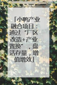 小鸭产业融合项目：通过“厂区改造+产业置换”，盘活存量，增值增效