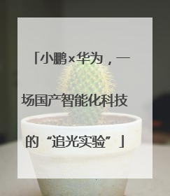 小鹏×华为，一场国产智能化科技的“追光实验”