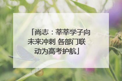 尚志：莘莘学子向未来冲刺 各部门联动为高考护航