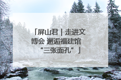 屏山君｜走进文博会 邂逅福建馆“三张面孔”