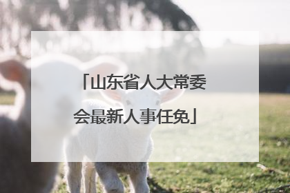 山东省人大常委会最新人事任免
