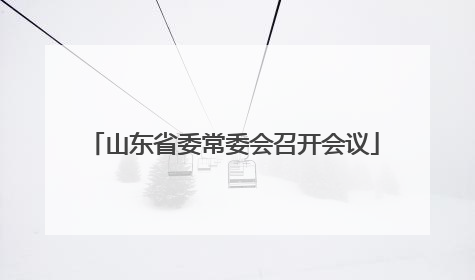山东省委常委会召开会议