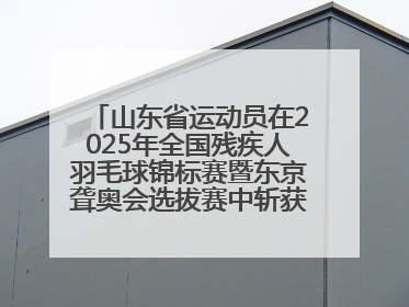 山东省运动员在2025年全国残疾人羽毛球锦标赛暨东京聋奥会选拔赛中斩获3银1铜