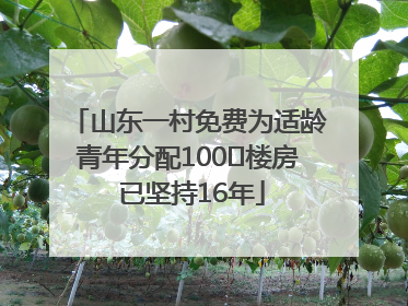 山东一村免费为适龄青年分配100㎡楼房 已坚持16年