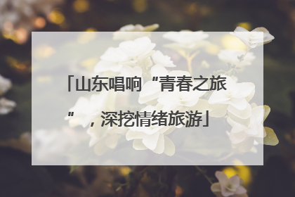 山东唱响“青春之旅”，深挖情绪旅游