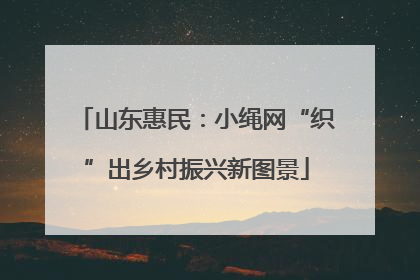 山东惠民：小绳网“织”出乡村振兴新图景