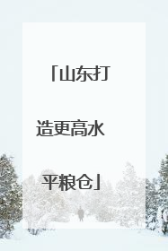 山东打造更高水平粮仓