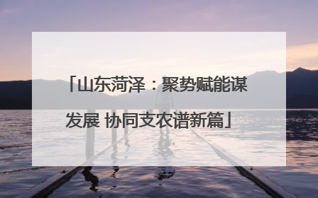 山东菏泽：聚势赋能谋发展 协同支农谱新篇