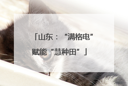 山东：“满格电”赋能“慧种田”