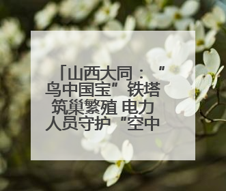 山西大同：“鸟中国宝”铁塔筑巢繁殖 电力人员守护“空中来客”