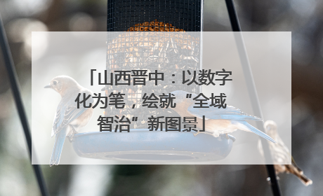 山西晋中：以数字化为笔，绘就“全域智治”新图景