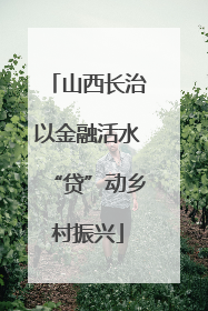 山西长治以金融活水“贷”动乡村振兴